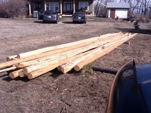 tipi poles or teepee poles laying on the ground